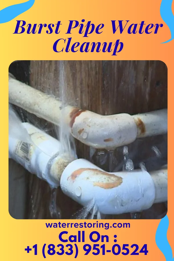 Burst Pipe Water Cleanup in Sunbury, OH