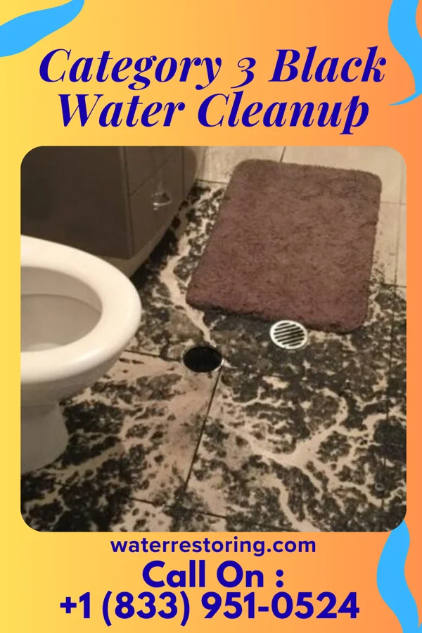 Category 3 Black Water Cleanup in Sunbury, OH