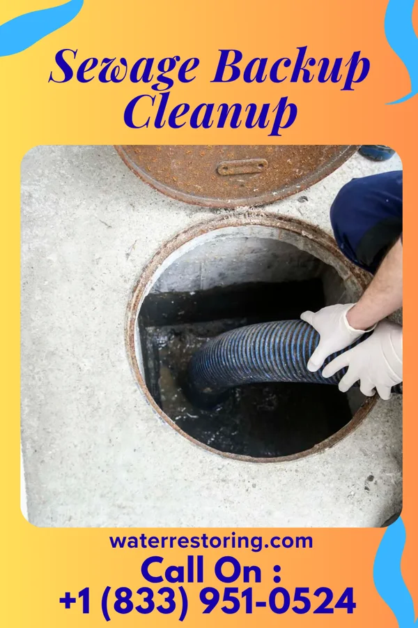 Sewage Backup Cleanup in Sunbury, OH