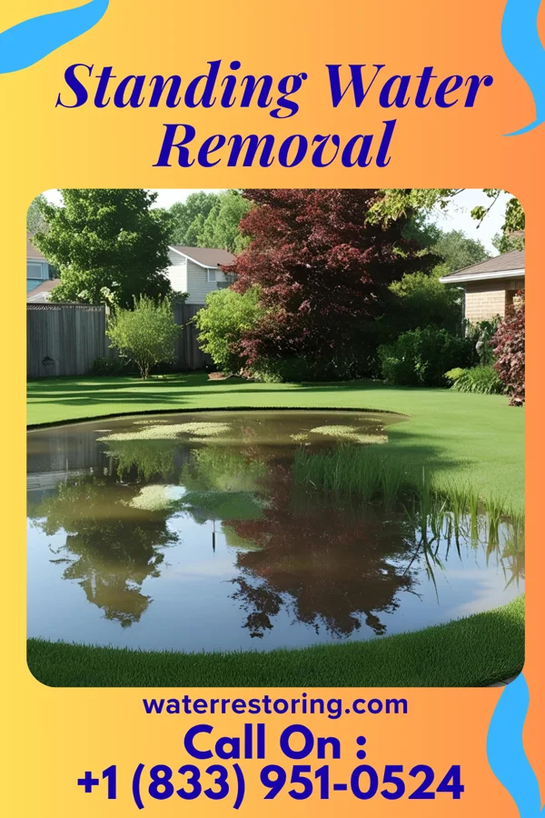 Standing Water Removal in Sunbury, OH